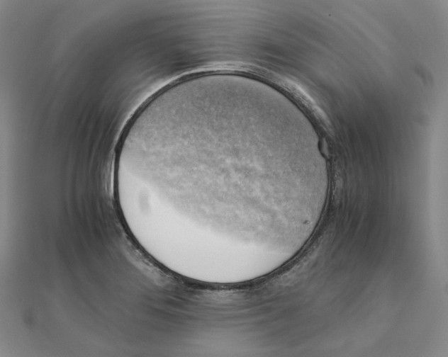 X0000110321276200906111445