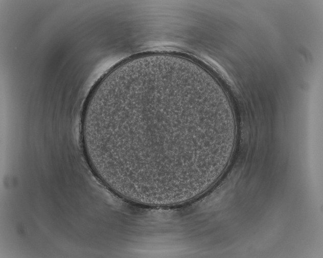 X0000110321277200906111445