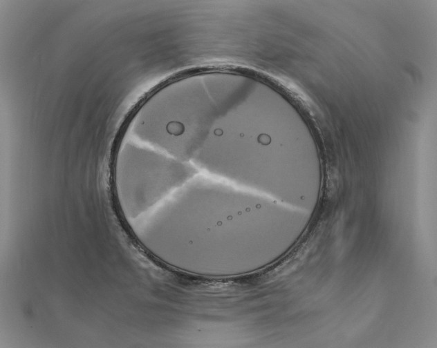 X0000110321279200906111445