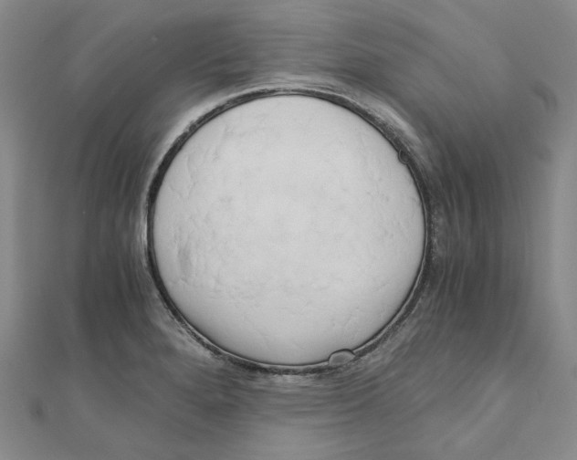 X0000110321280200906111445