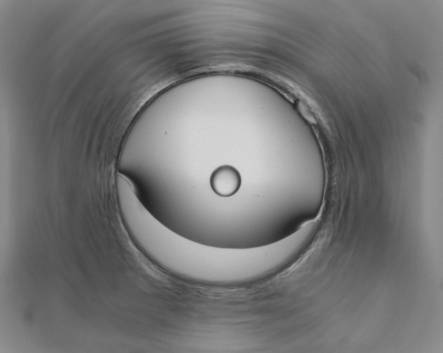 X0000110321281200906111445