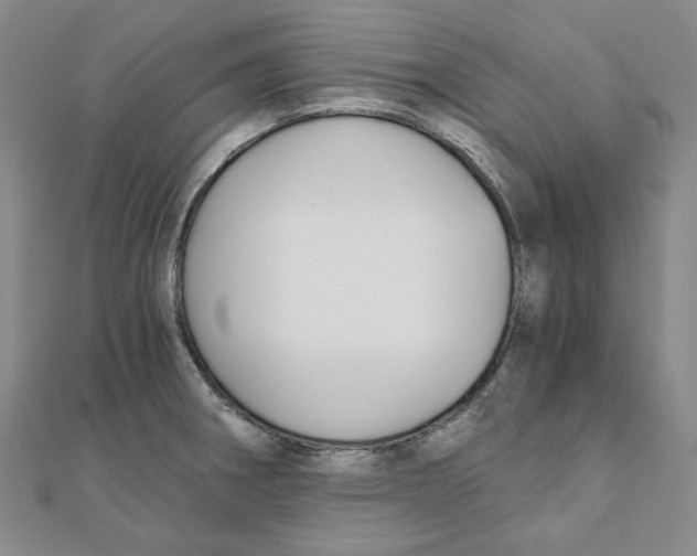 X0000110321282200906111445