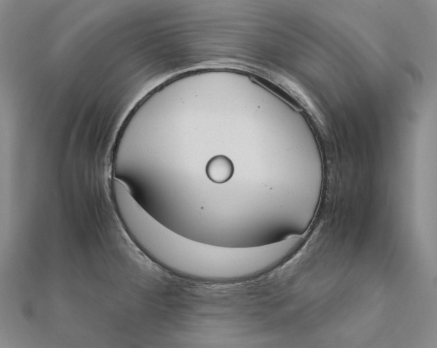 X0000110321284200906111445