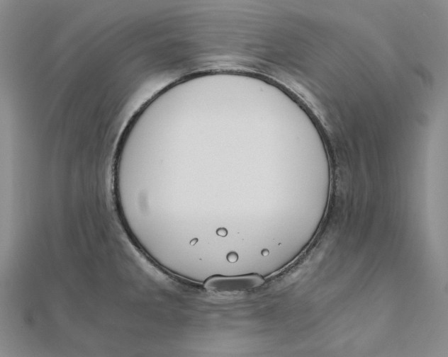 X0000110321285200906111445