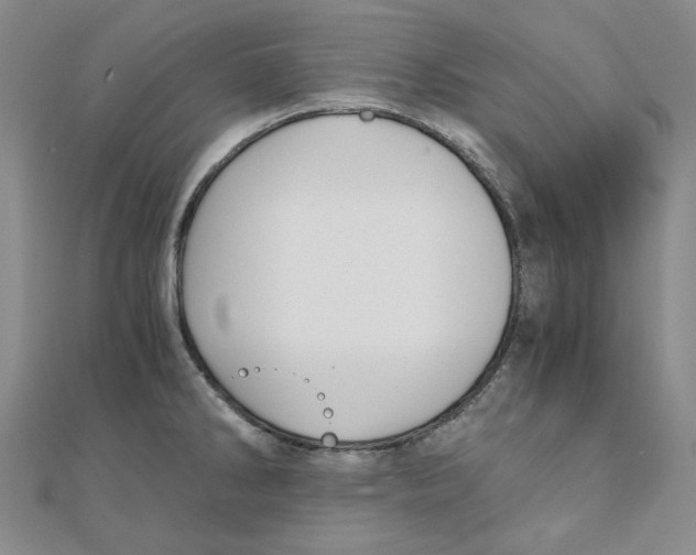 X0000110321286200906111445