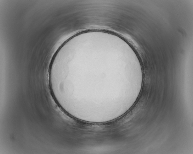 X0000110321287200906111445