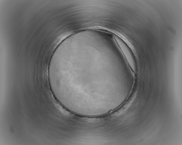 X0000110321289200906111445