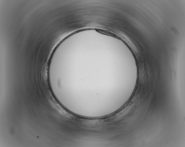 X0000110321292200906111445