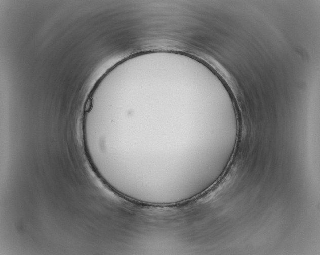 X0000110321293200906111445