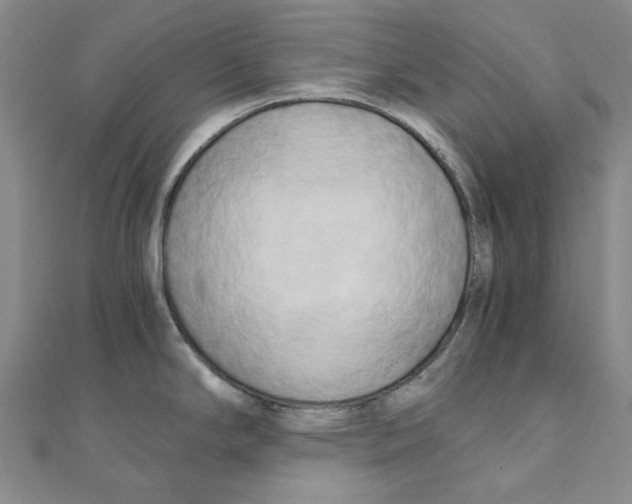 X0000110321294200906111445