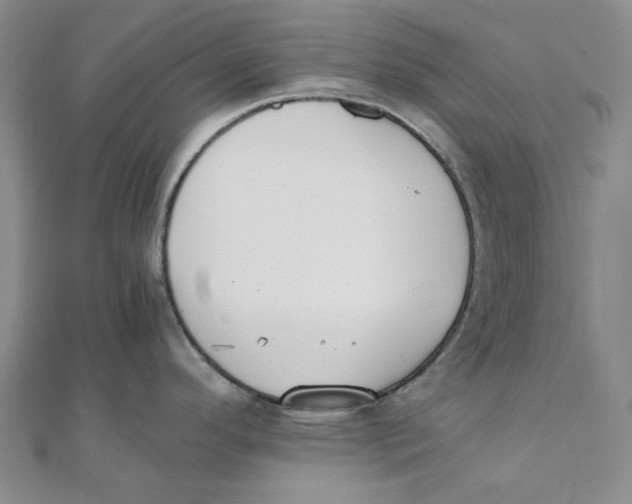 X0000110321296200906111445