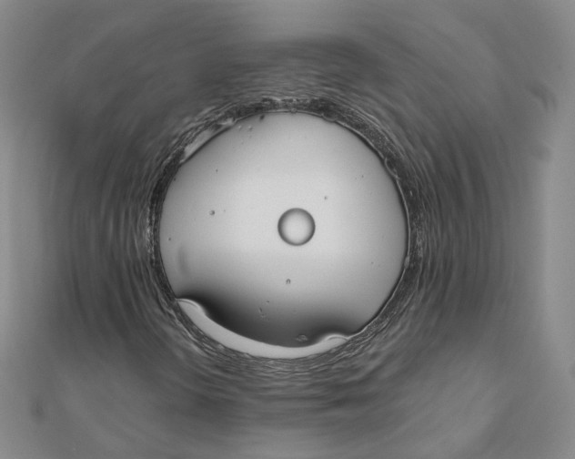 X0000110321298200906111444