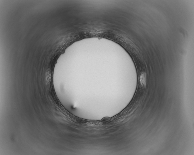 X0000110321299200906111444