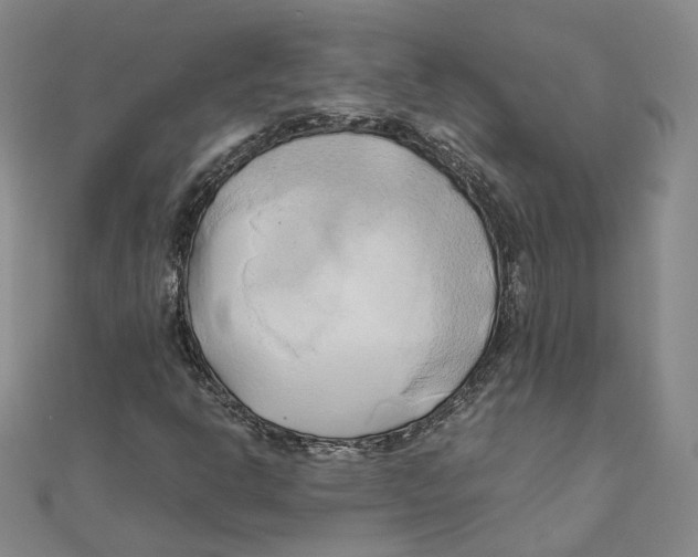 X0000110321302200906111444