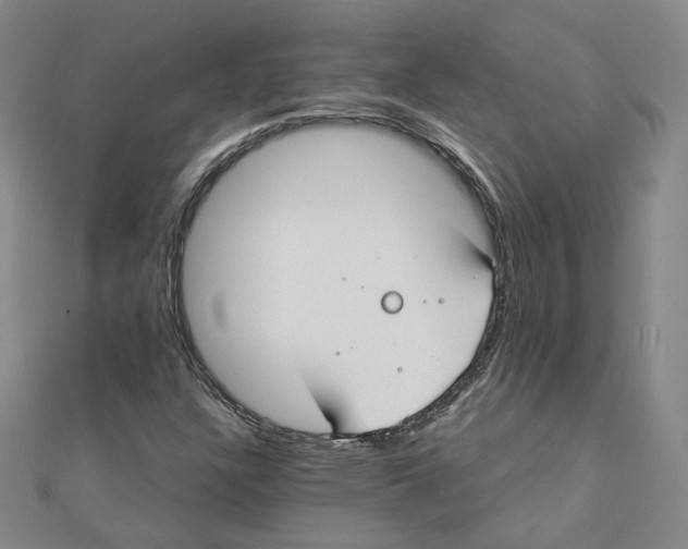 X0000110321304200906111444