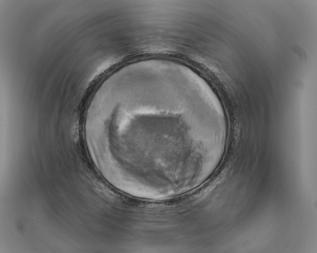 X0000110321306200906111444