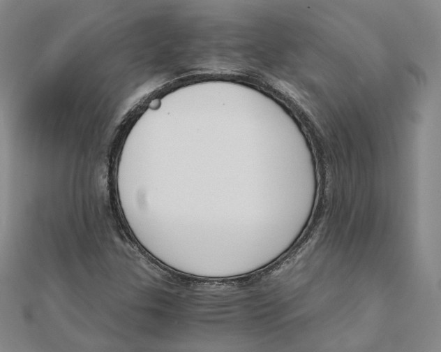 X0000110321307200906111444