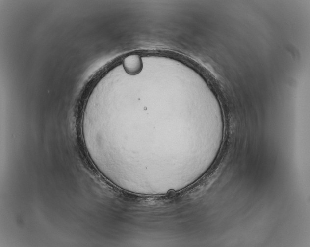 X0000110321311200906111444