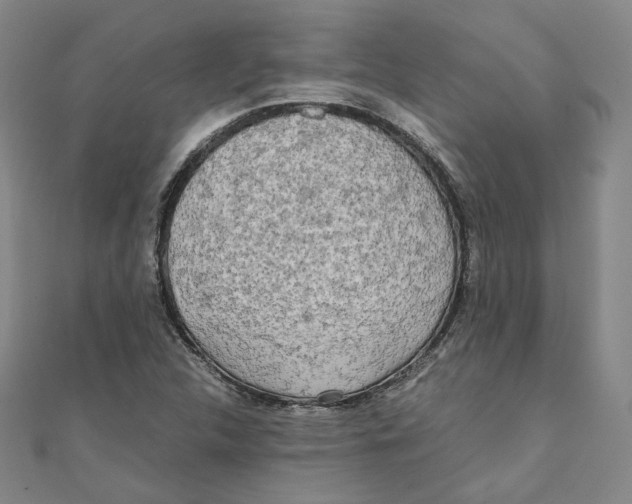 X0000110321312200906111444