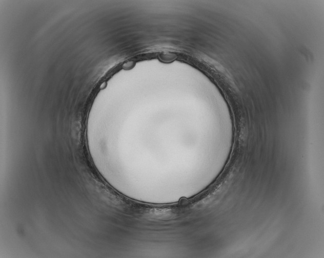 X0000110321313200906111444