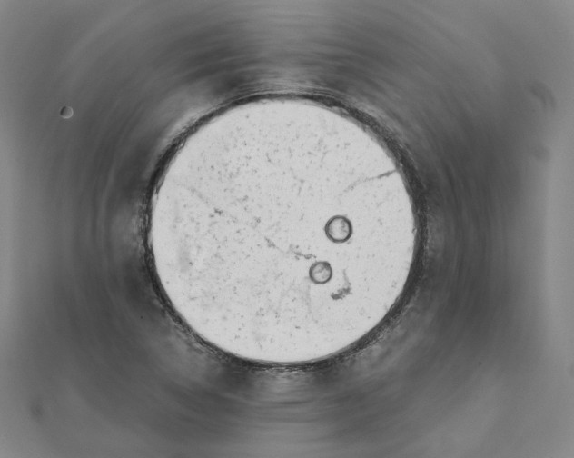 X0000110321314200906111444