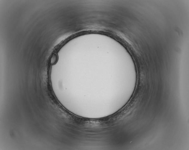 X0000110321315200906111444