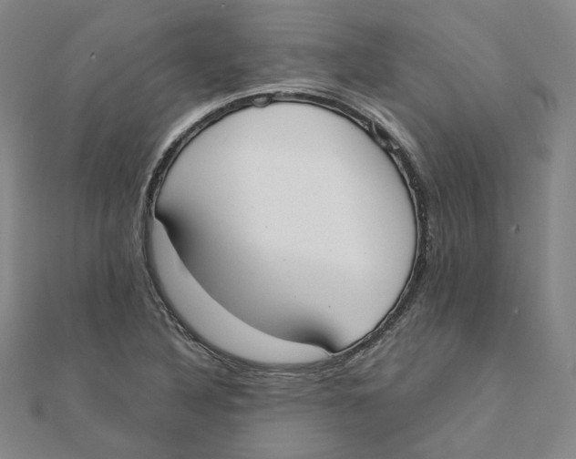 X0000110321316200906111444