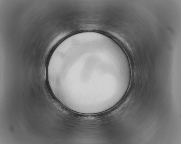 X0000110321317200906111444