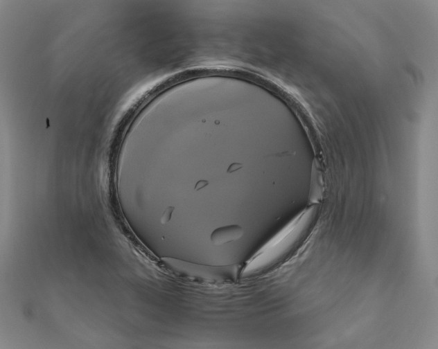 X0000110321319200906111444