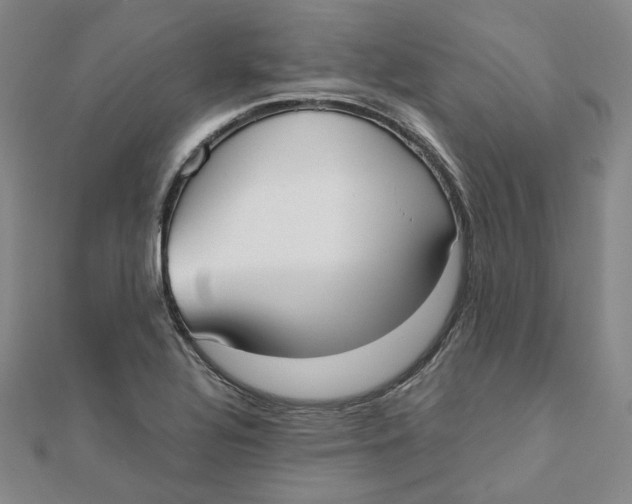 X0000110321320200906111444