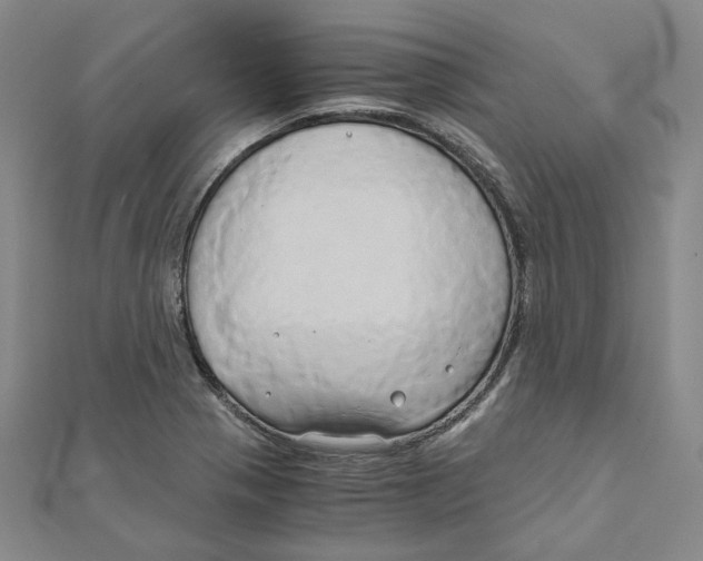 X0000110321321200906111444