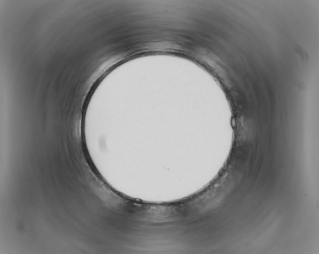 X0000110321322200906111444