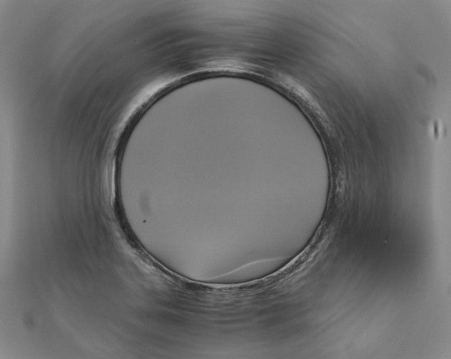 X0000110321323200906111444