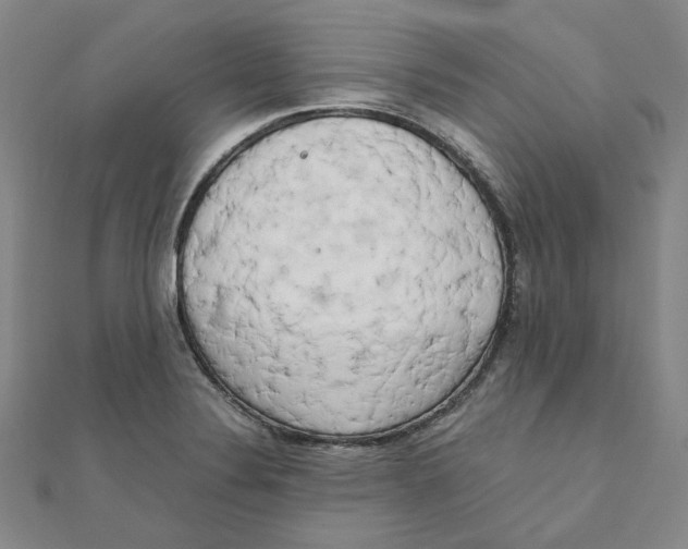 X0000110321324200906111444