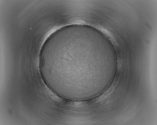 X0000110321326200906111444