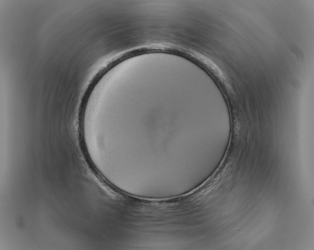 X0000110321327200906111444