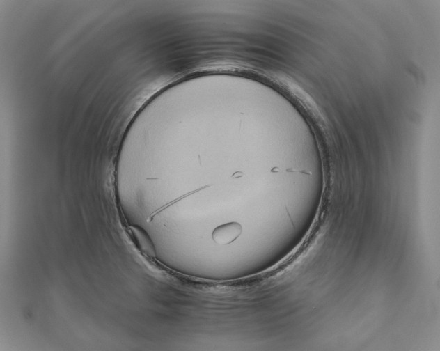 X0000110321329200906111444