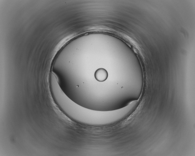 X0000110321330200906111445