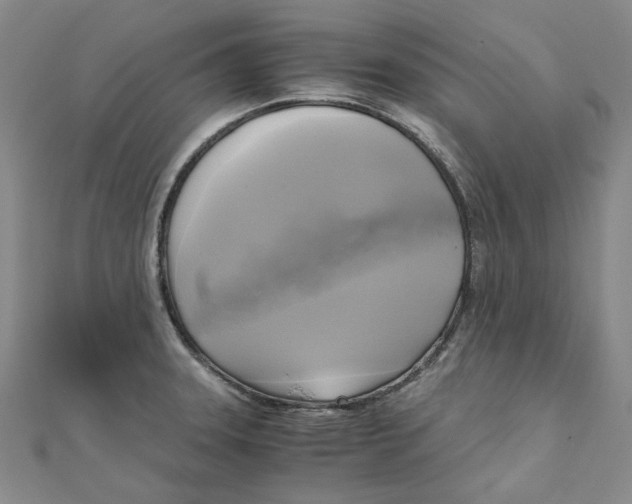 X0000110321331200906111445