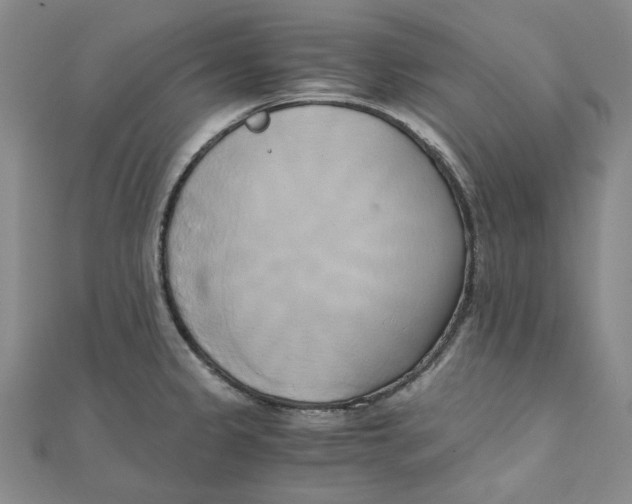 X0000110321333200906111445