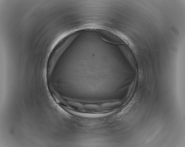 X0000110321334200906111445