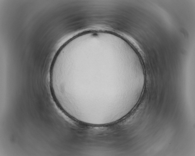 X0000110321335200906111445