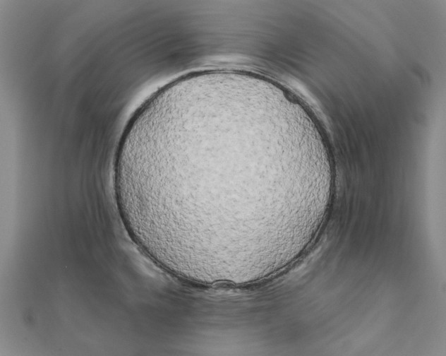 X0000110321336200906111445