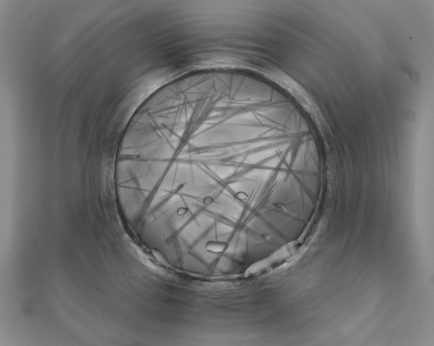 X0000110321337200906111445