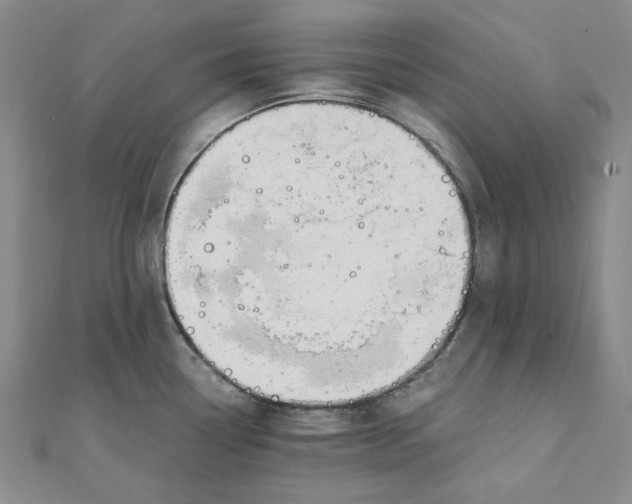 X0000110321338200906111445