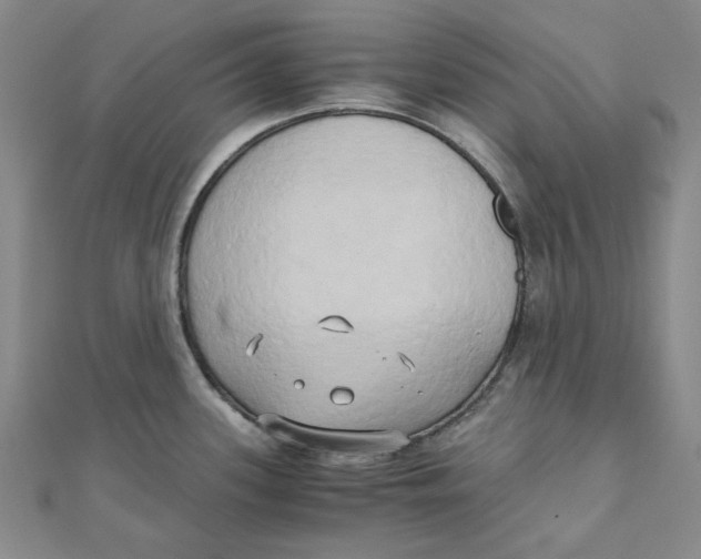 X0000110321339200906111445