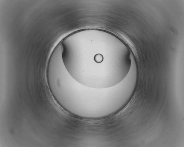 X0000110321340200906111445