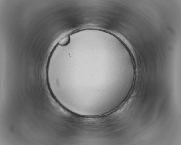 X0000110321341200906111445