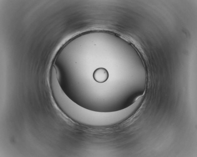 X0000110321342200906111445