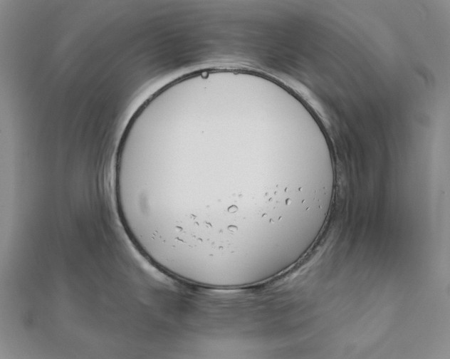 X0000110321343200906111445